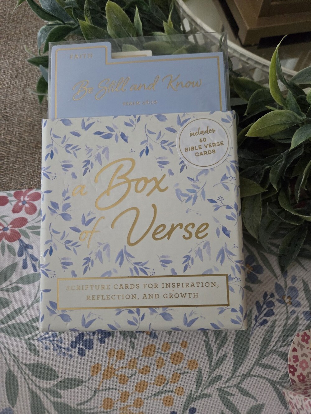 Eccolo Bible Verse Cards